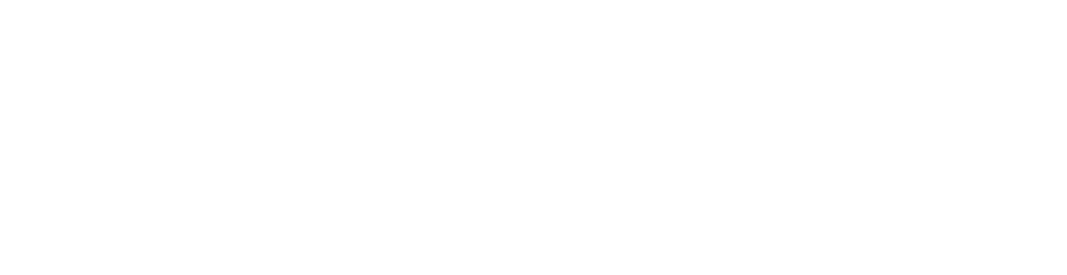PEACE Logo_White