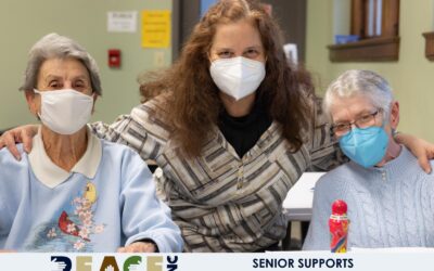 Senior Supports Program