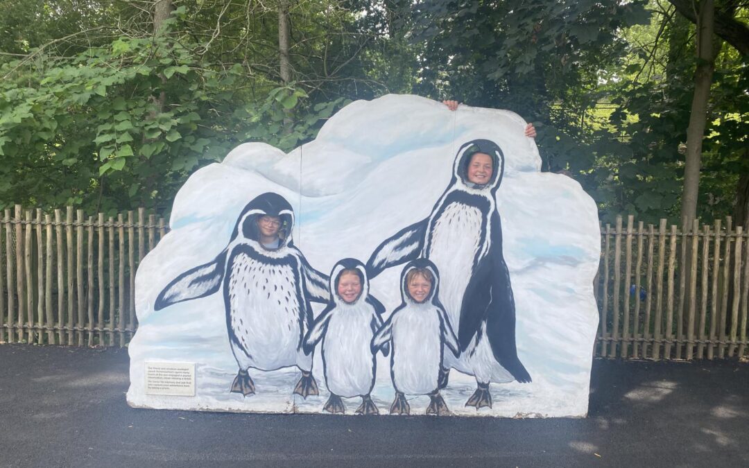 A Day of Discovery: County South Summer Program Visits the Zoo and Escape Room