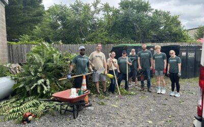Teamwork in Motion: A Summer of Volunteering