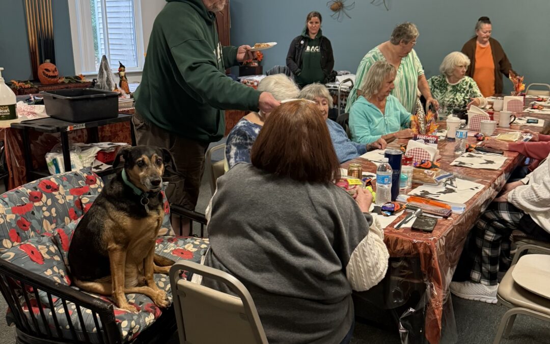 Volunteers Celebrated Birthdays at Meadow’s Apartments